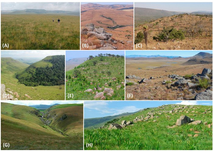 Mount Currie Nature Reserve Diversity | Free Full-Text | The Greater Midlands—A Mid ... photo