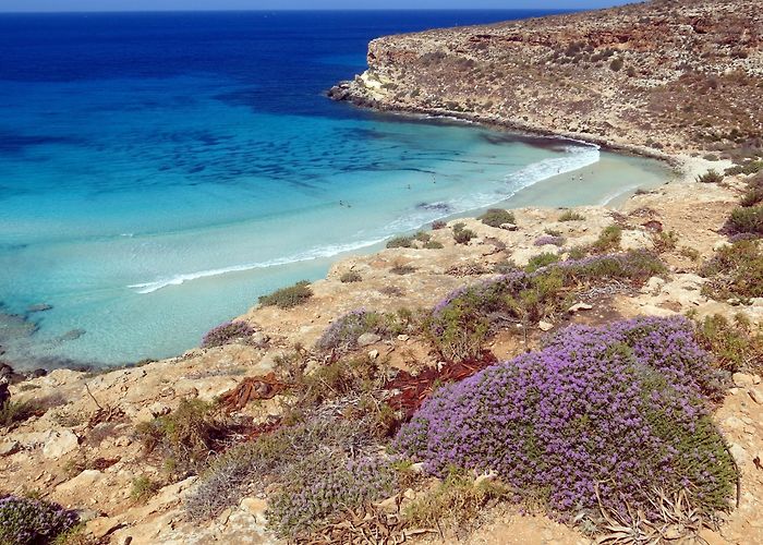 Cala Madonna Beach Rabbit Beach Tours - Book Now | Expedia photo