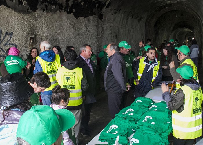 Asociacion Cultural Bosques de Cantabria Bosques de Cantabria y sus voluntarios ambientales participan en ... photo