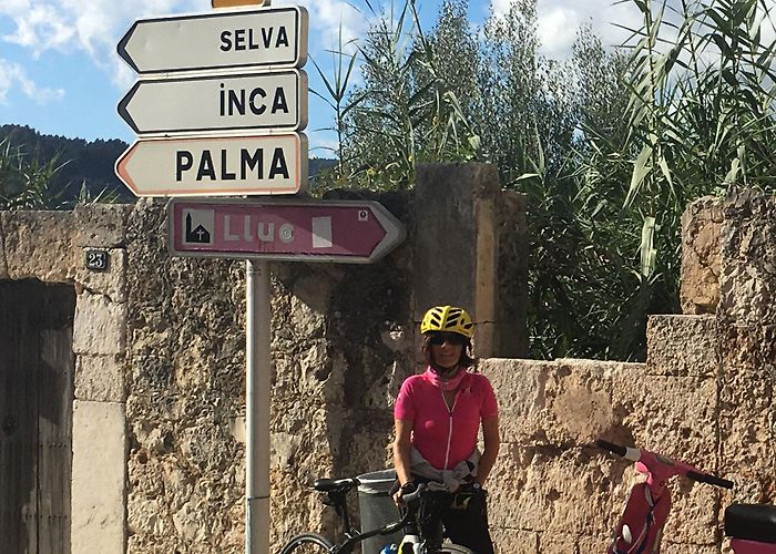 Chamber of Commerce Mallorca Mallorca Island by bike: Palma, Soller, Serra Tramuntana | Cicloposse photo