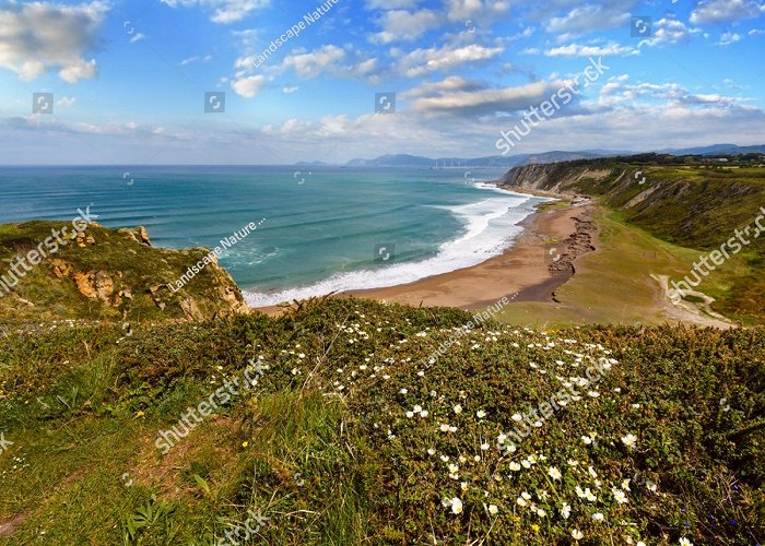 Playa de Azkorri 345 Azkorri Images, Stock Photos, 3D objects, & Vectors | Shutterstock photo