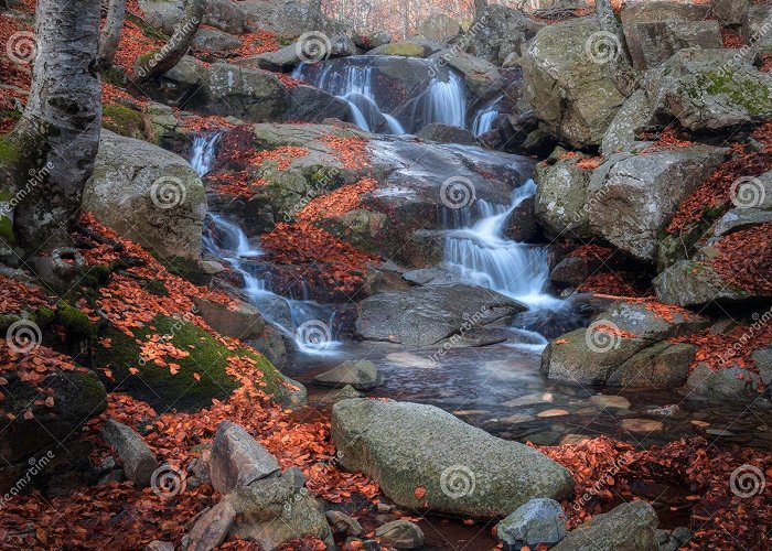 Natural Park of Montseny Beautifull Waterfall at the Montseny Natural Park Stock Photo ... photo