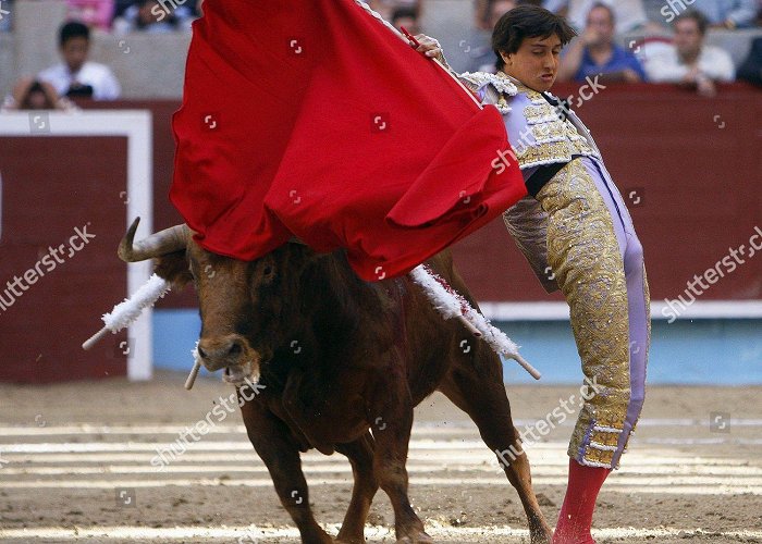 Bullring Pontevedra Peruvian Bullfighter Andres Roca Rey Who Editorial Stock Photo ... photo