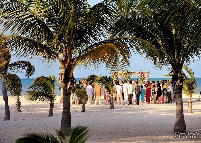 Isla Pasion Weddings Passion Island - Cozumel Archives - Pierre Violle Photography photo