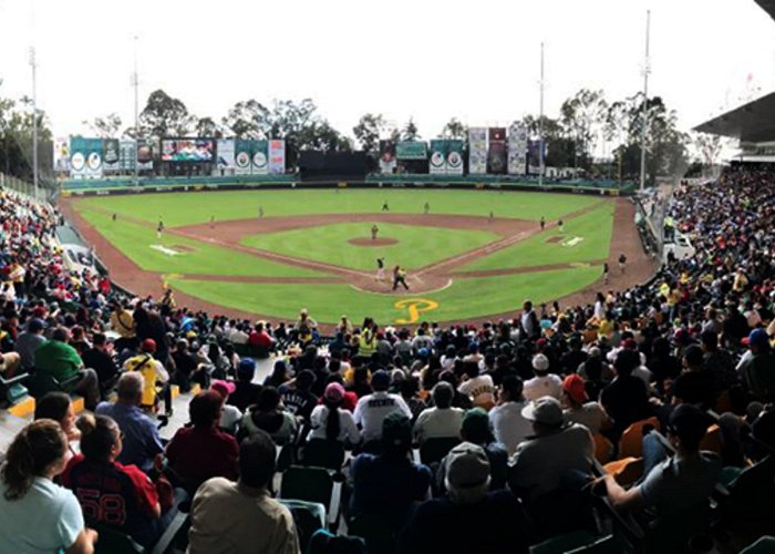 Estadio de Beisbol Hermanos Serdan Grandes entradas en 2019 en el Estadio Hermanos Serdán | MiLB.com photo