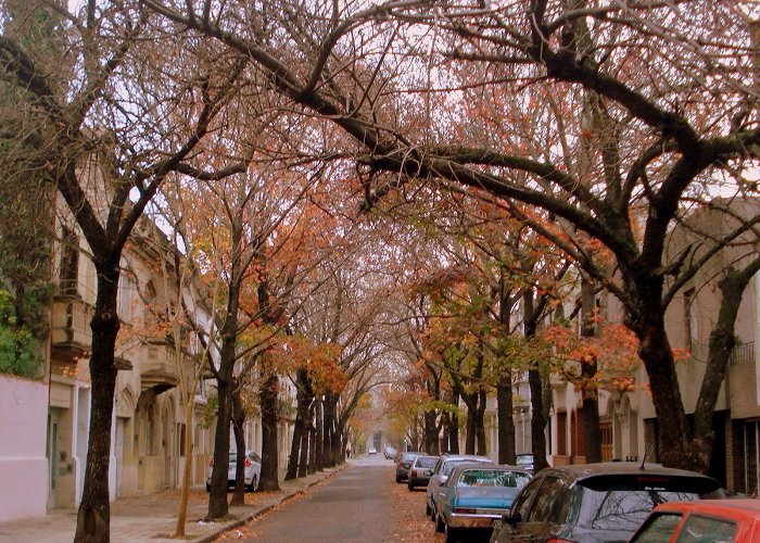 Pasaje Monroe  Pasaje Monroe, Rosario, Argentina | Ciudad de rosario, Argentina ... photo