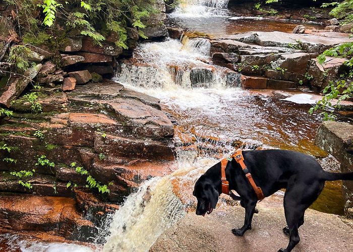 Crawford Notch State Park 10 of the Best Hikes in Crawford Notch, New Hampshire; All Levels! photo