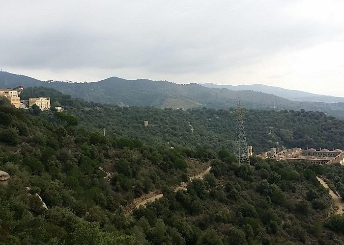 Consorci del Parc Central del Valles most impressive and most flowery gardens in the city photo