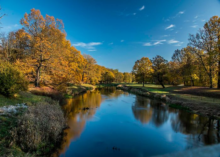 Leknica photo