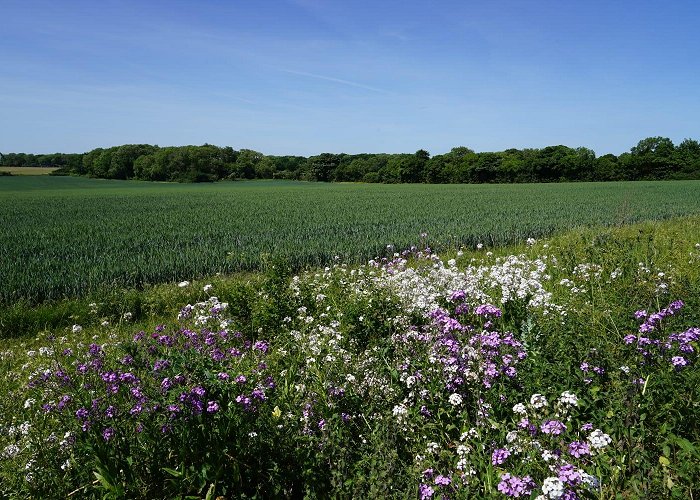 Streatley (Berkshire) photo