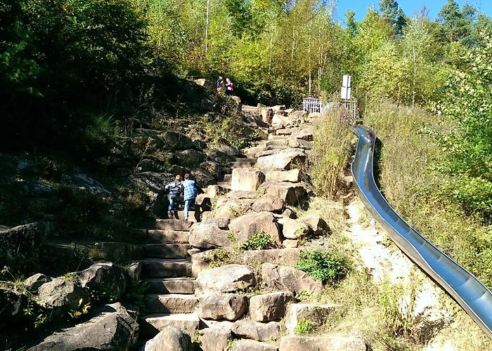 Hinterweidenthal photo