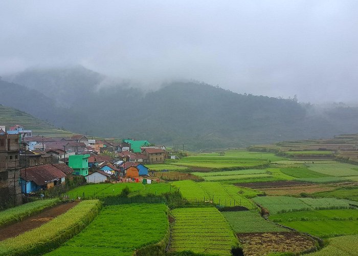 Kodaikanal photo