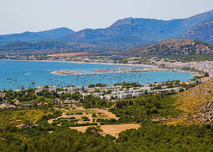 Port de Pollenca photo