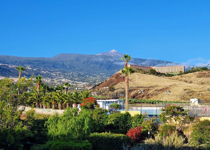 Puerto de la Cruz (Tenerife) photo