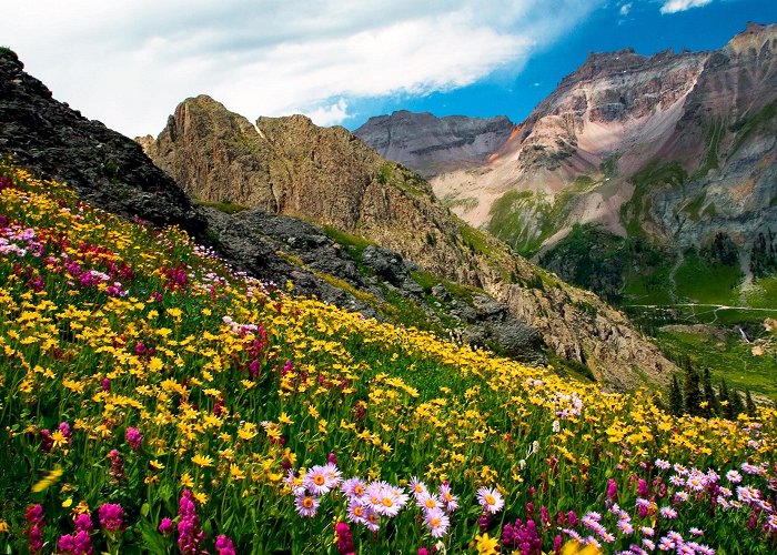 Ouray photo