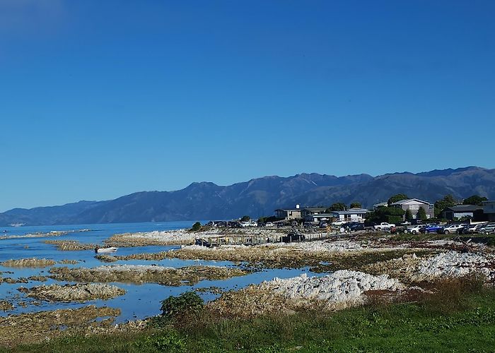 Kaikoura photo