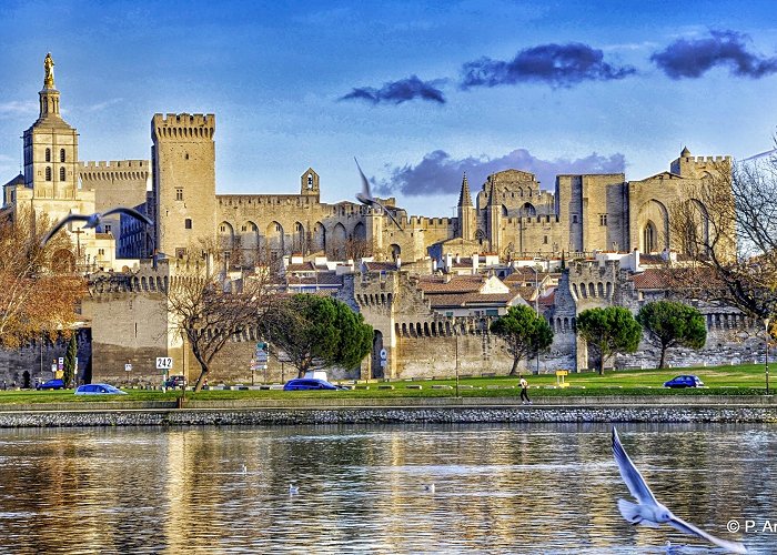 Avignon photo