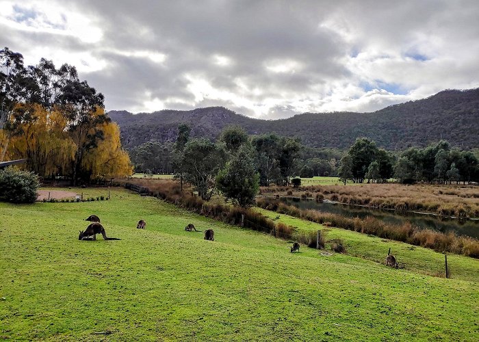 Halls Gap photo