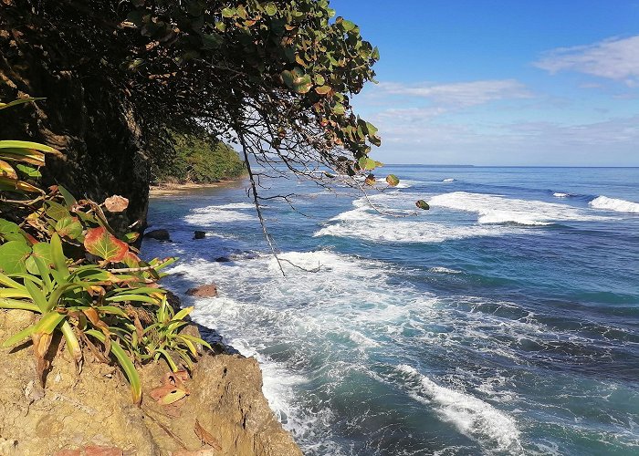 Puerto Viejo de Talamanca photo