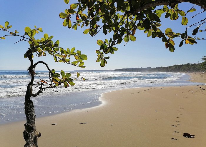 Puerto Viejo de Talamanca photo