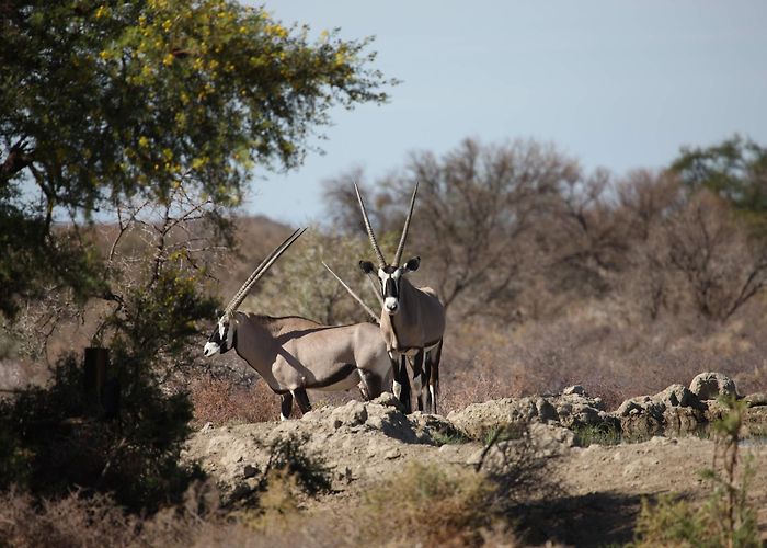 Beaufort West photo