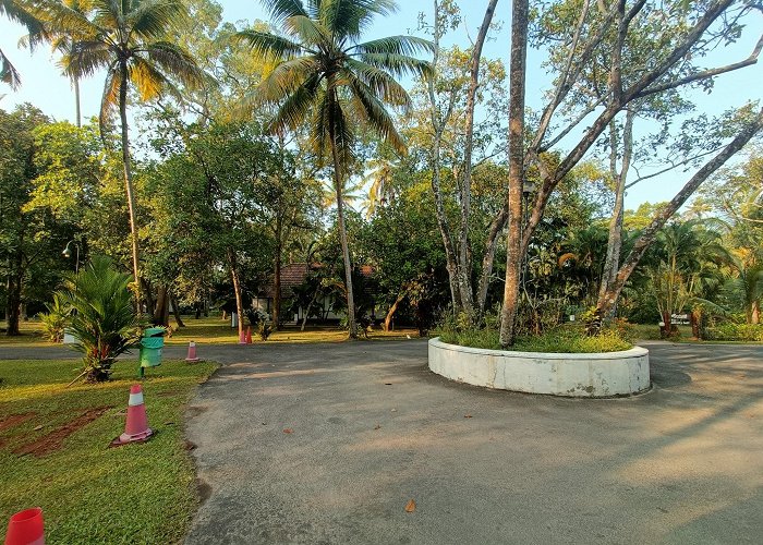 Mararikulam photo