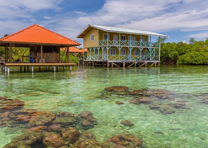 Bocas del Toro photo