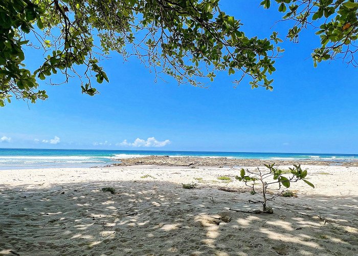 Playa Santa Teresa (Puntarenas) photo