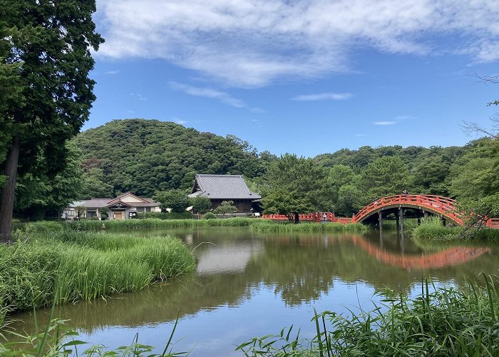 Yokohama (Kanagawa) photo