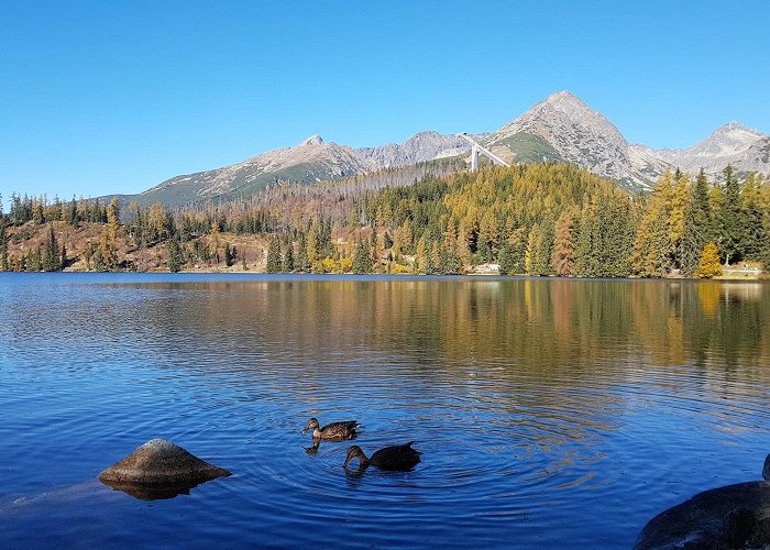 Strbske Pleso photo