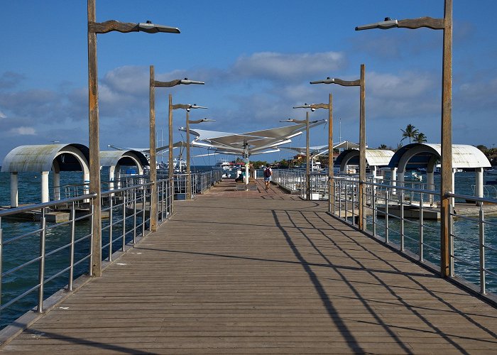 Puerto Ayora (Galapagos Islands) photo