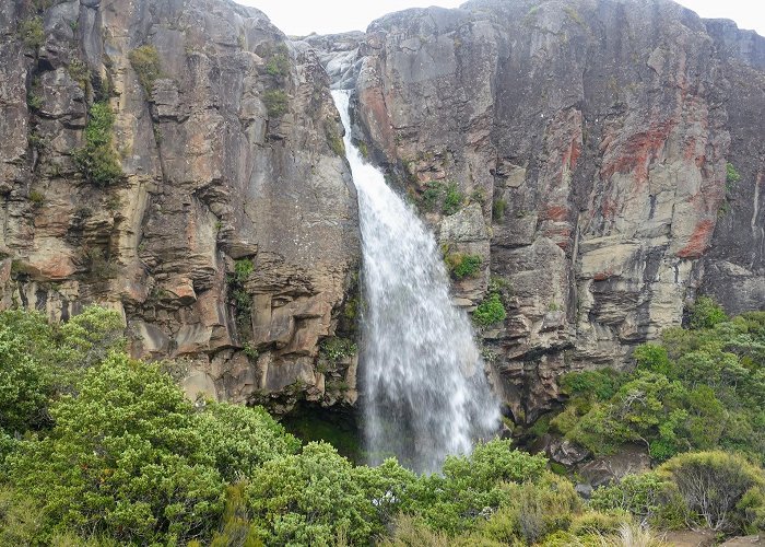 Ohakune photo