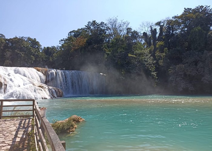 Palenque photo