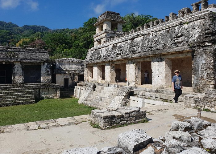 Palenque photo