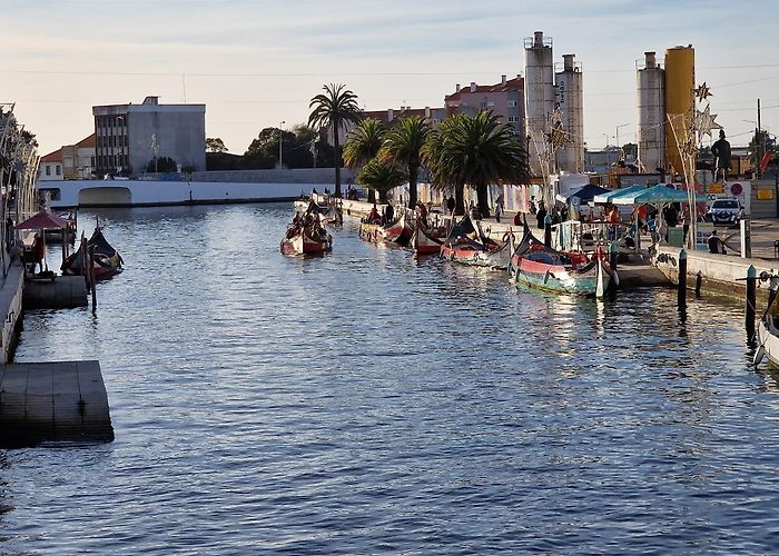 Aveiro photo