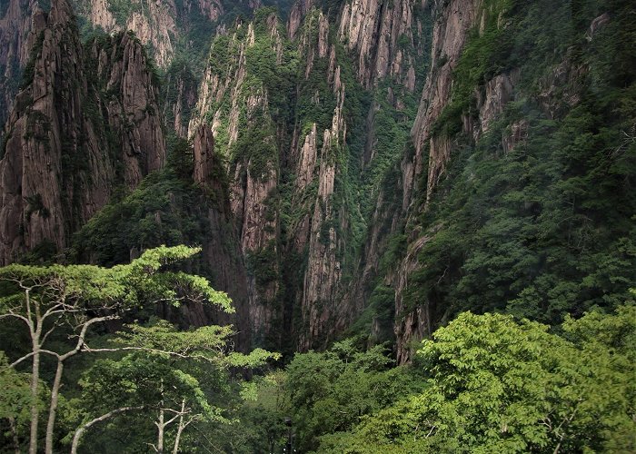 Huangshan photo