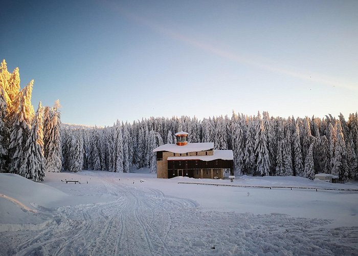 Kopaonik photo