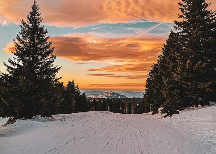 Kopaonik photo