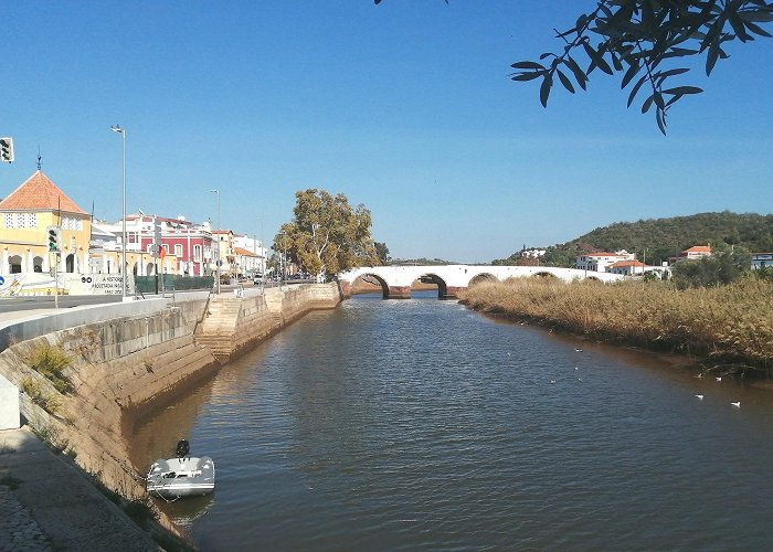 Silves photo