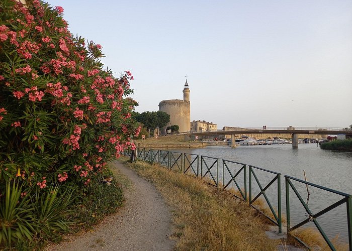 Aigues-Mortes photo