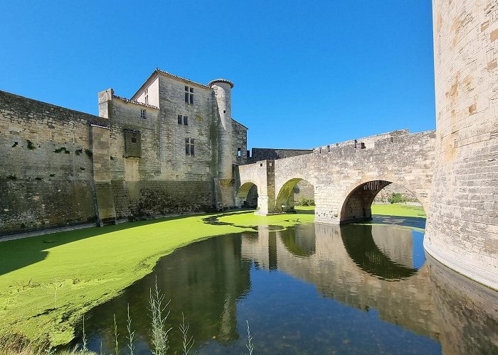 Aigues-Mortes photo