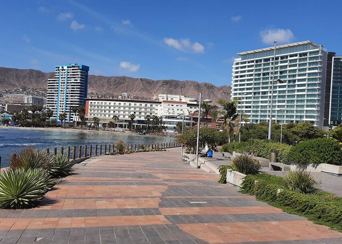 Antofagasta photo