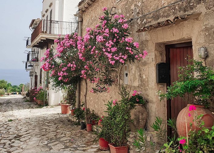 Scopello (Sicily) photo