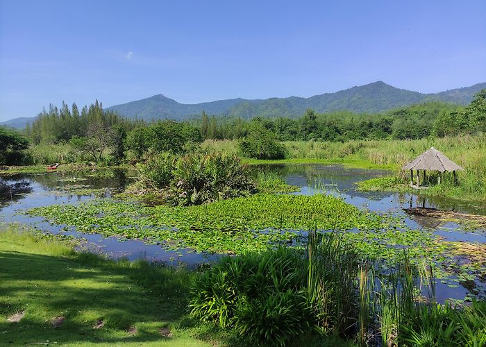 Suan Phueng photo