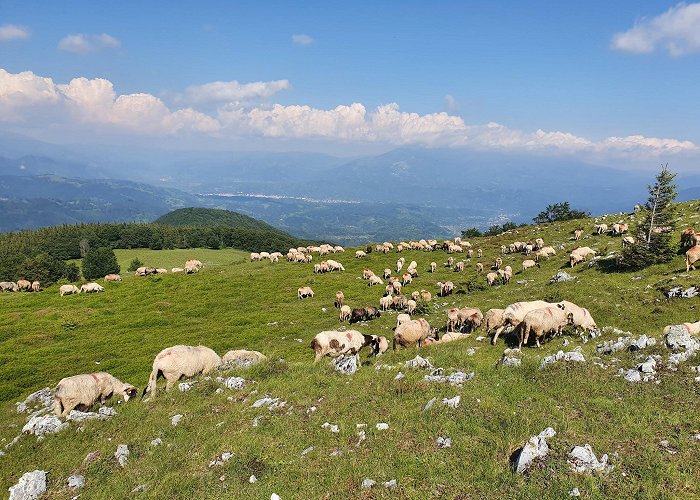 Lupeni (Hunedoara) photo