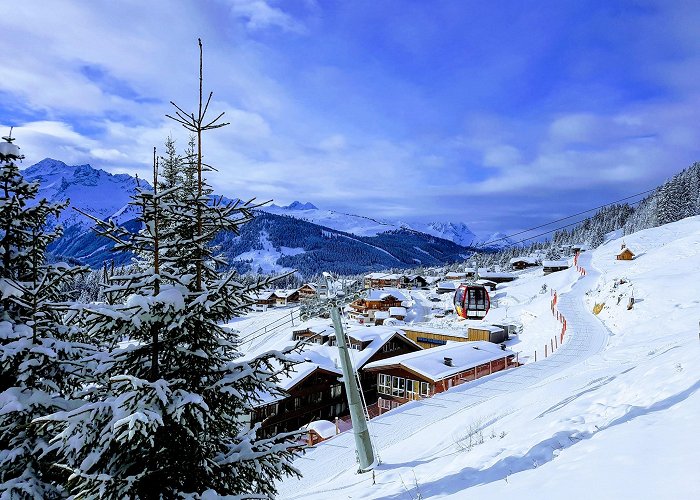 Wald im Pinzgau photo