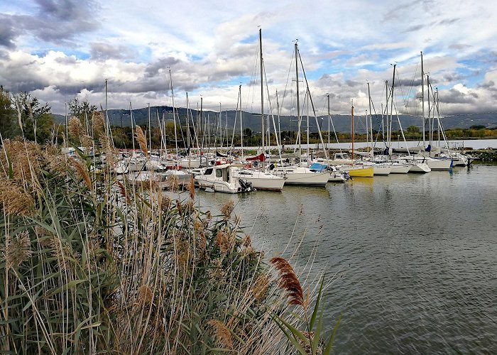 Tuoro sul Trasimeno photo