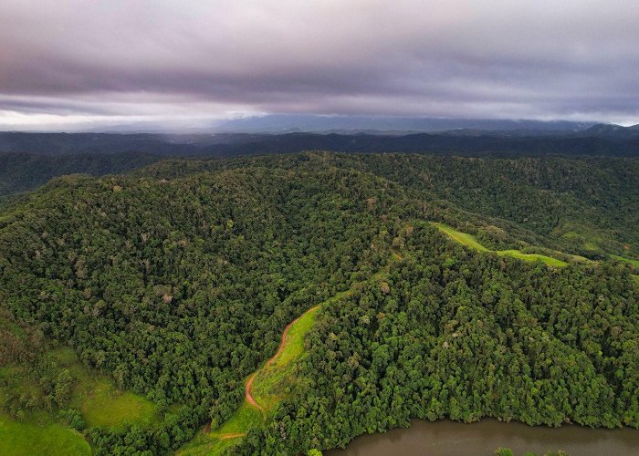 Daintree photo