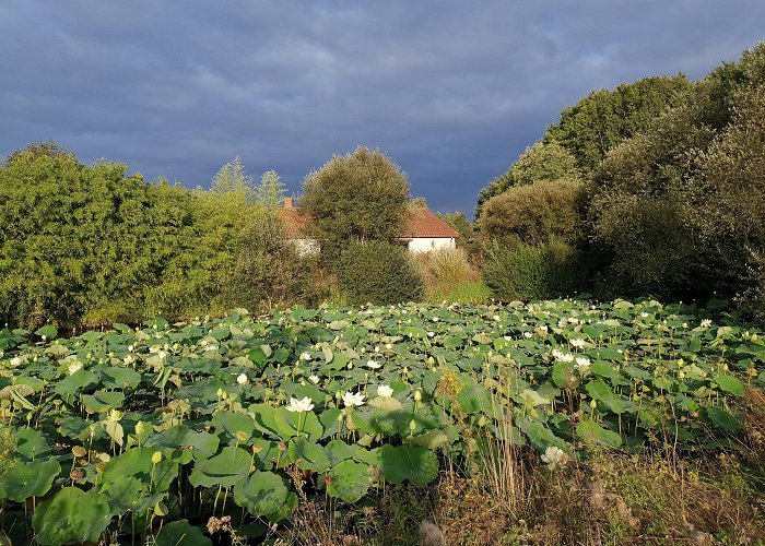 Les Achards (Vendee) photo