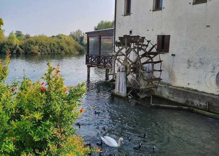 Quinto Di Treviso photo